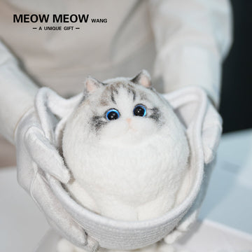 A17:Chubby And Cute Ragdoll Cat