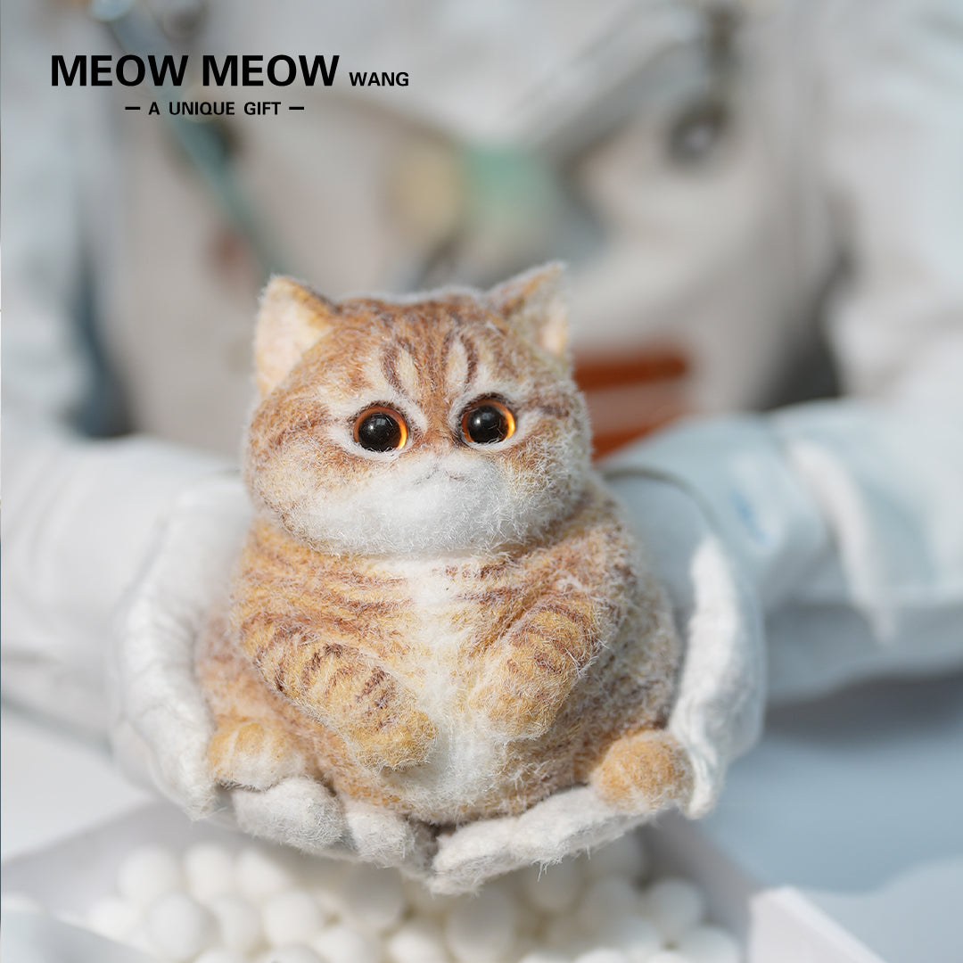 C41:Soft, Cute Chubby Orange Cat