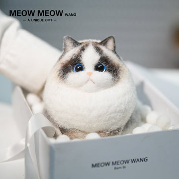 A22:A ColourPoint Ragdoll Cat