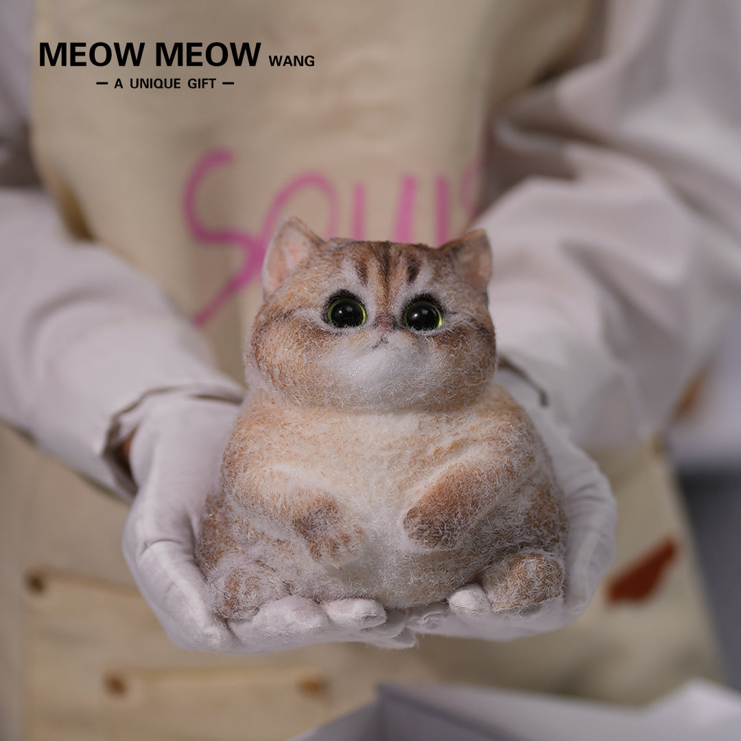 C02: Cute Chubby Squishy Kitty with Pink Ear