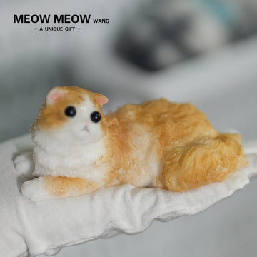 E05:Cute And Lively Orange Kitten