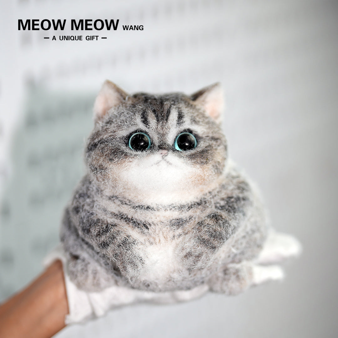 C18:Cute Chubby Black Brown Tabby Cat