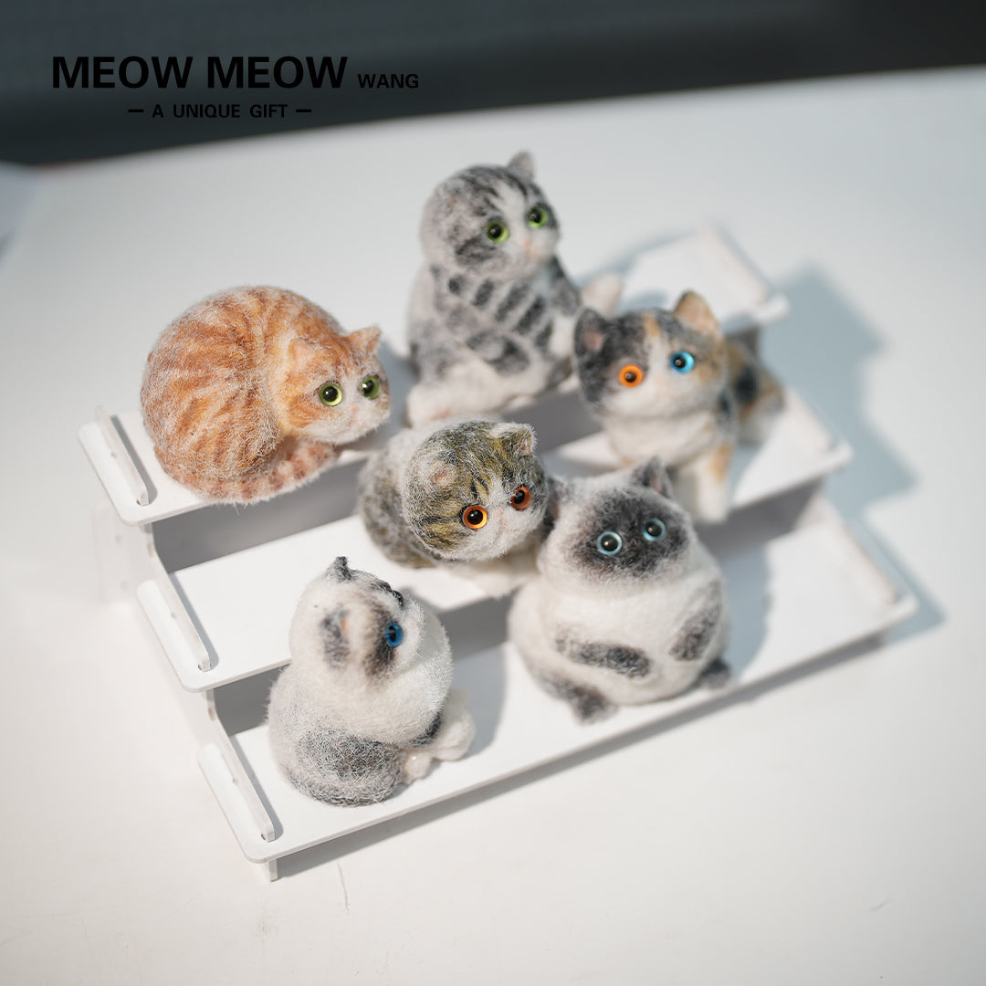 E005: 6 different mini kittens
