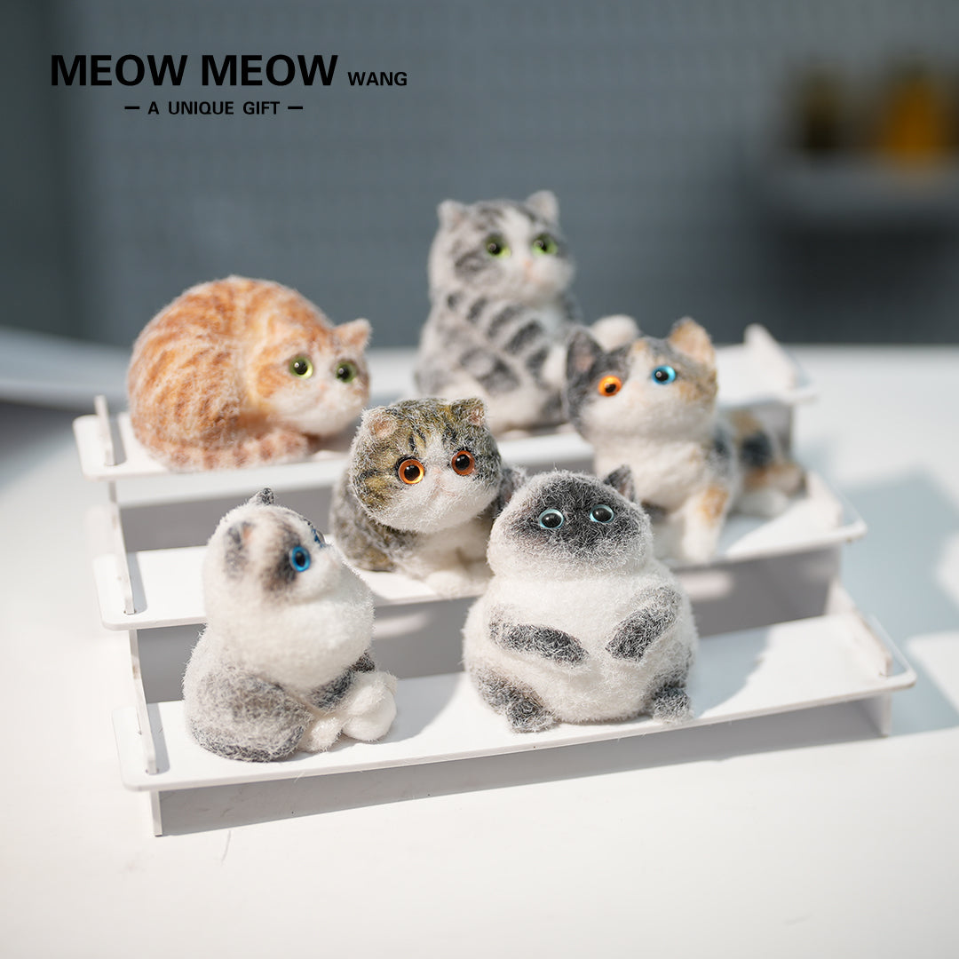 E005: 6 different mini kittens