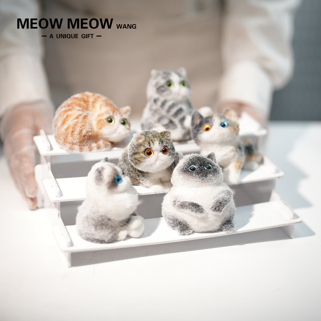 E005: 6 different mini kittens