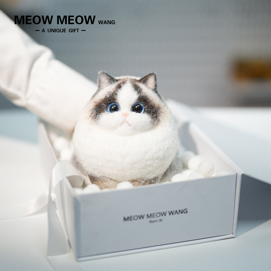 A22:A ColourPoint Ragdoll Cat