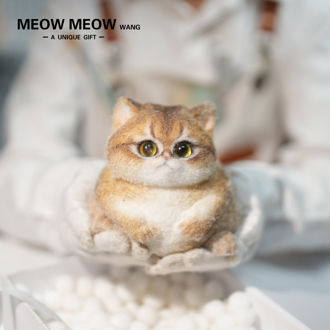 C29:A Unique Golden Shaded Tabby Cat
