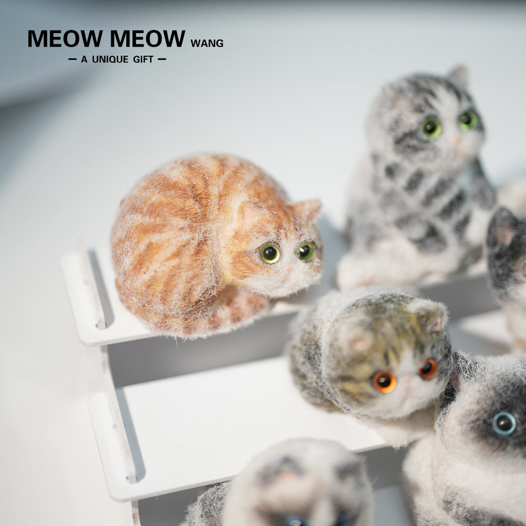 E005: 6 different mini kittens