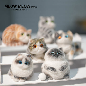 E005: 6 different mini kittens