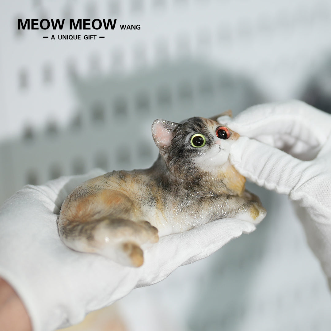 E04:Fluffy Heteromyptic Kitten