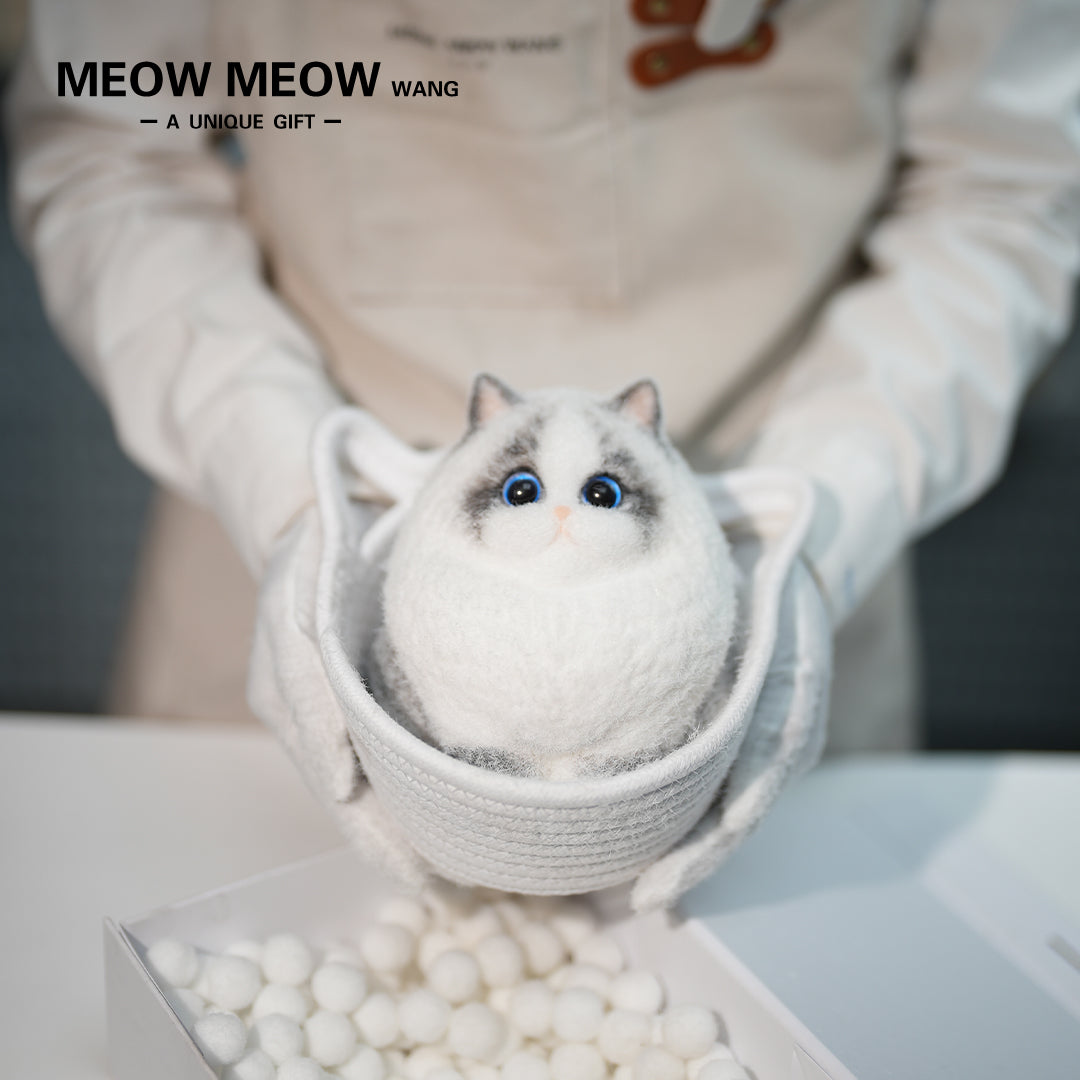 A18:Super Cute Light-Coloured Ragdoll Cat