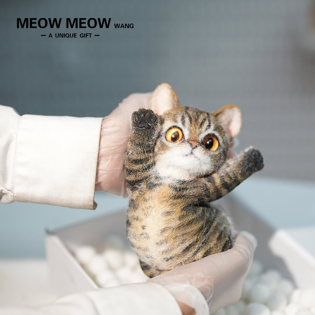 B21:A Soft Yellow-Brown Tabby Kitten