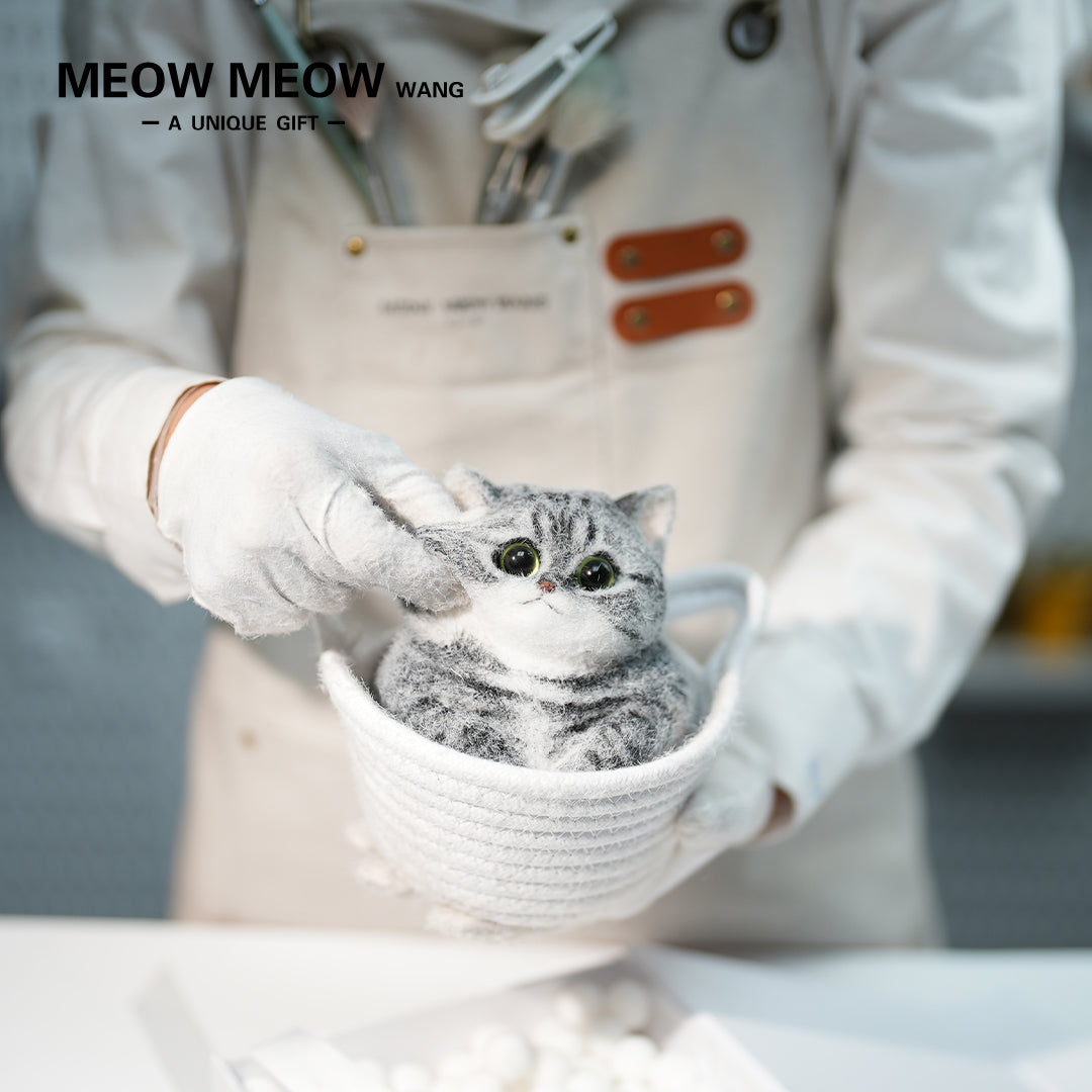 C25:A Chubby Silver-Grey Cat