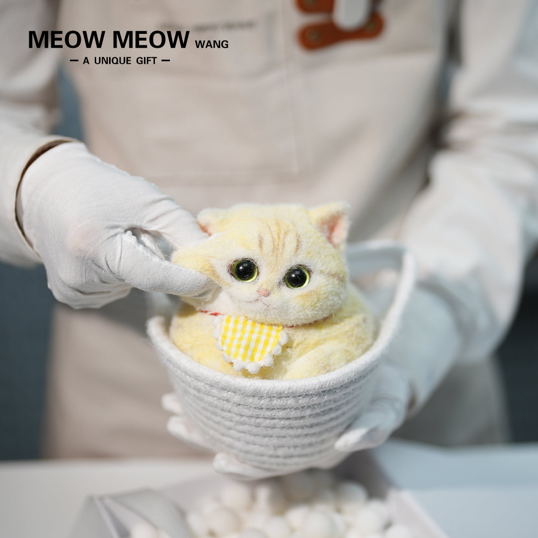C21:A chubby, Goose-Yellow Cat