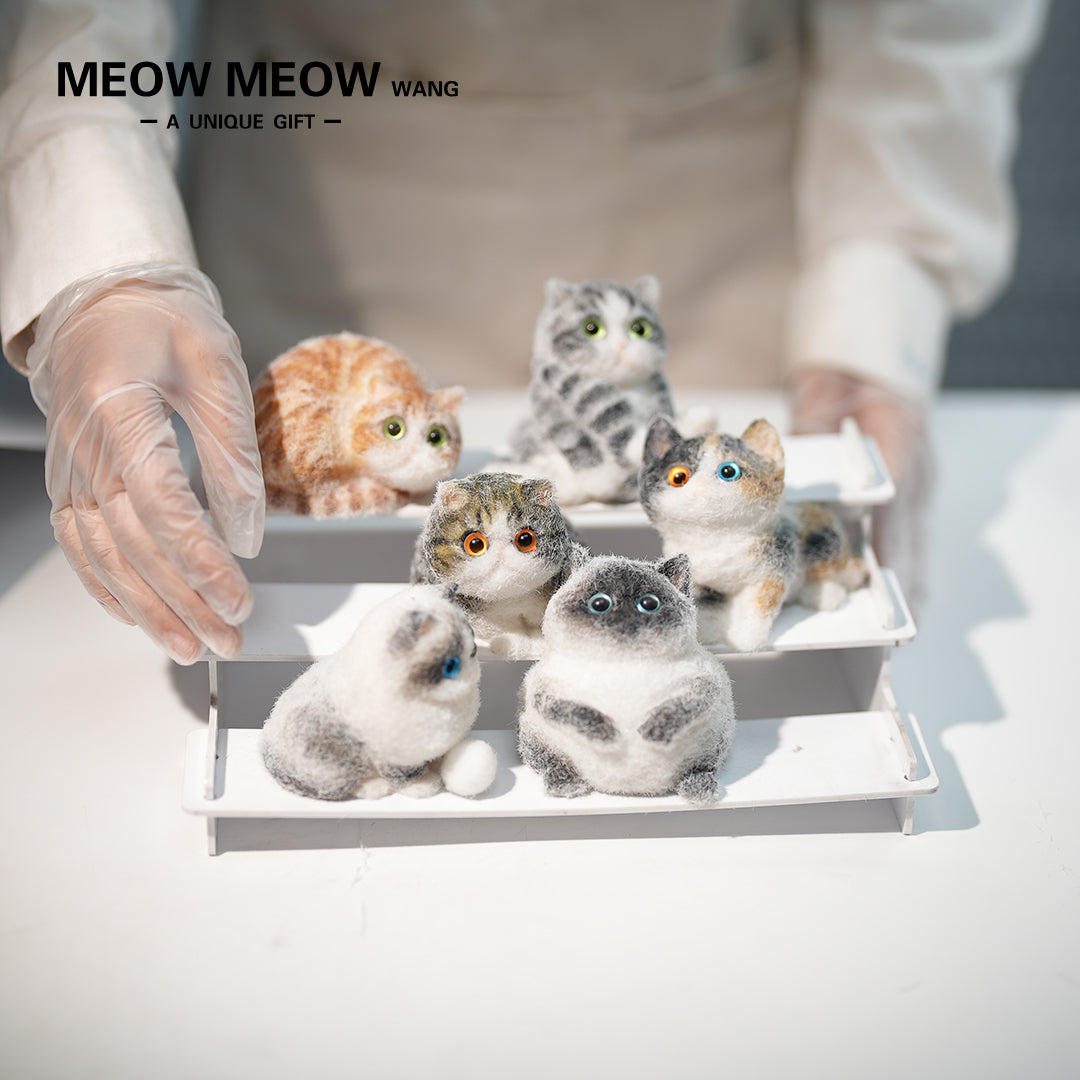 E005: 6 different mini kittens