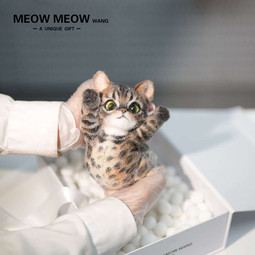B14:A Golden Leopard Cat With A Bloated Belly
