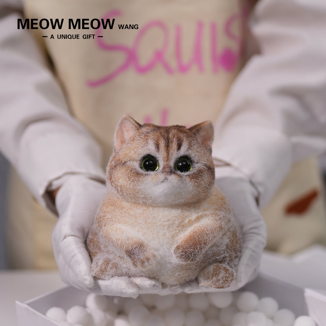 C02: Cute Chubby Squishy Kitty with Pink Ear