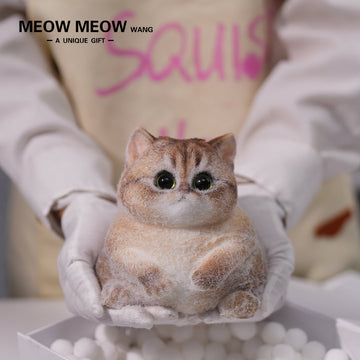 C02: Cute Chubby Squishy Kitty with Pink Ear