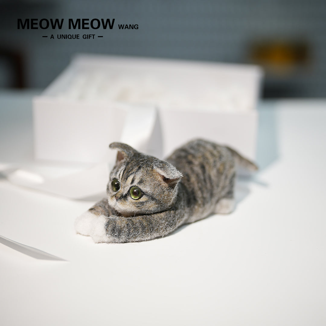 B22:A Lying Tabby Cat