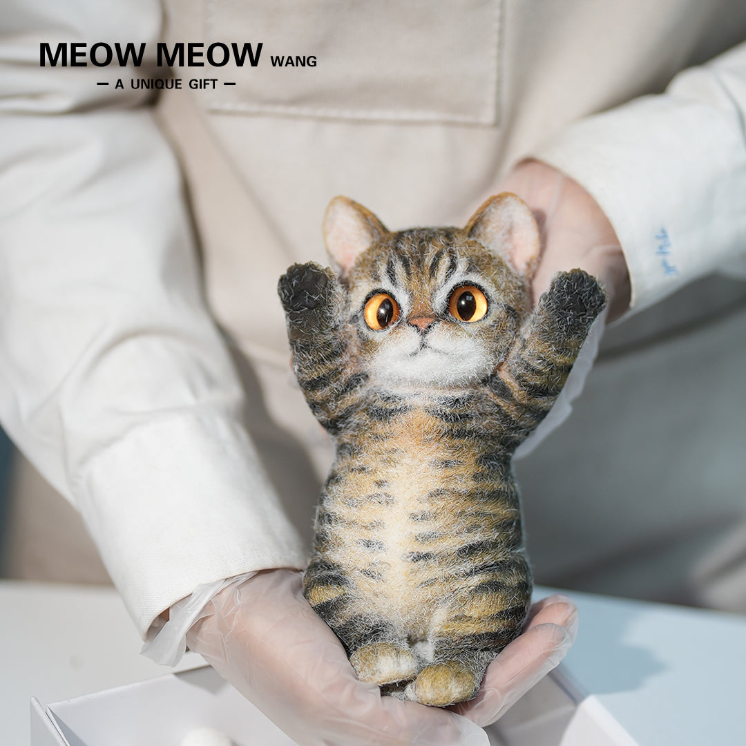 B21:A Soft Yellow-Brown Tabby Kitten