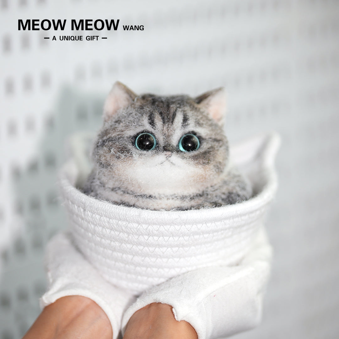 C18:Cute Chubby Black Brown Tabby Cat