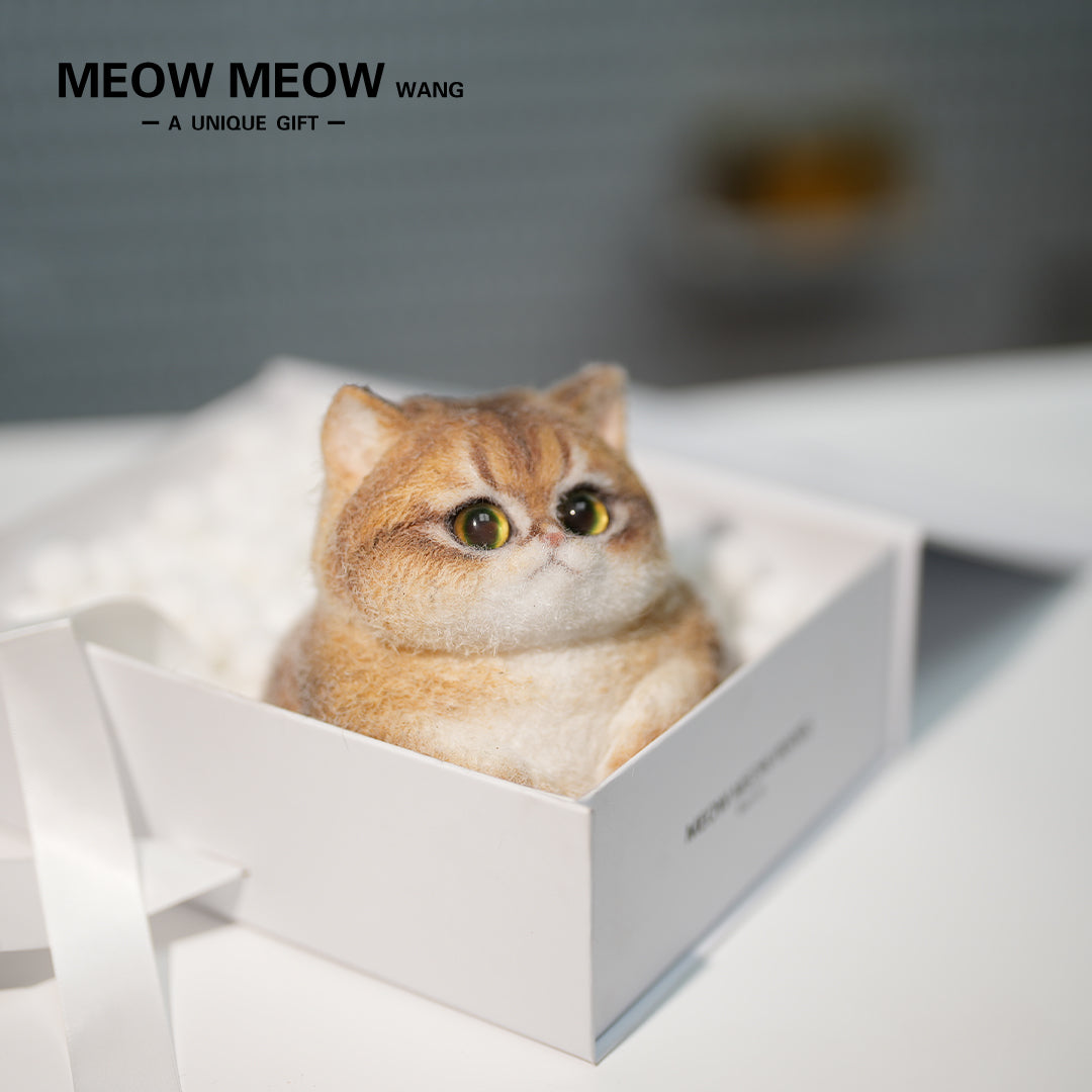 C29:A Unique Golden Shaded Tabby Cat