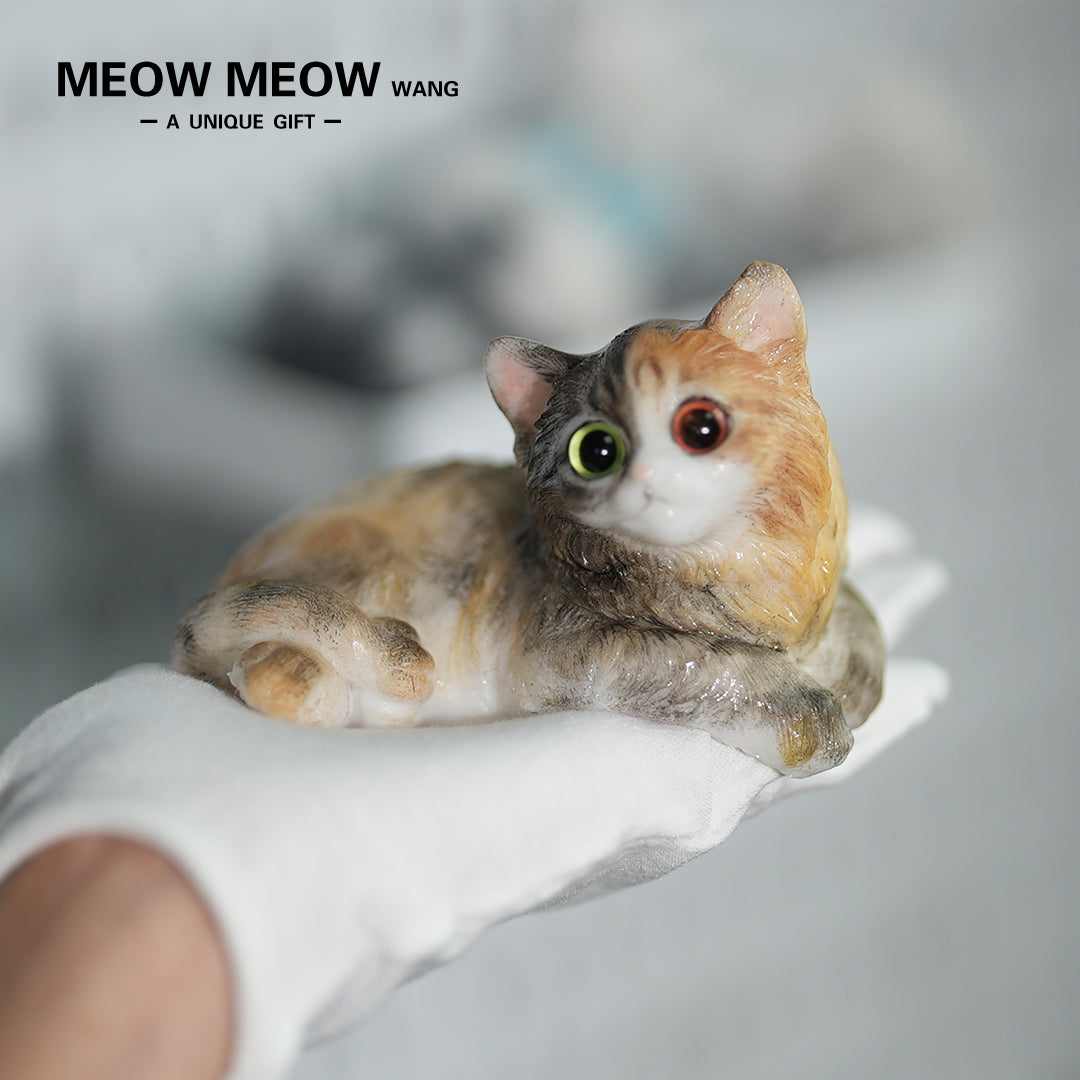 E04:Fluffy Heteromyptic Kitten