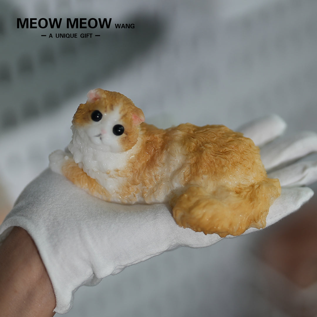 E05:Cute And Lively Orange Kitten