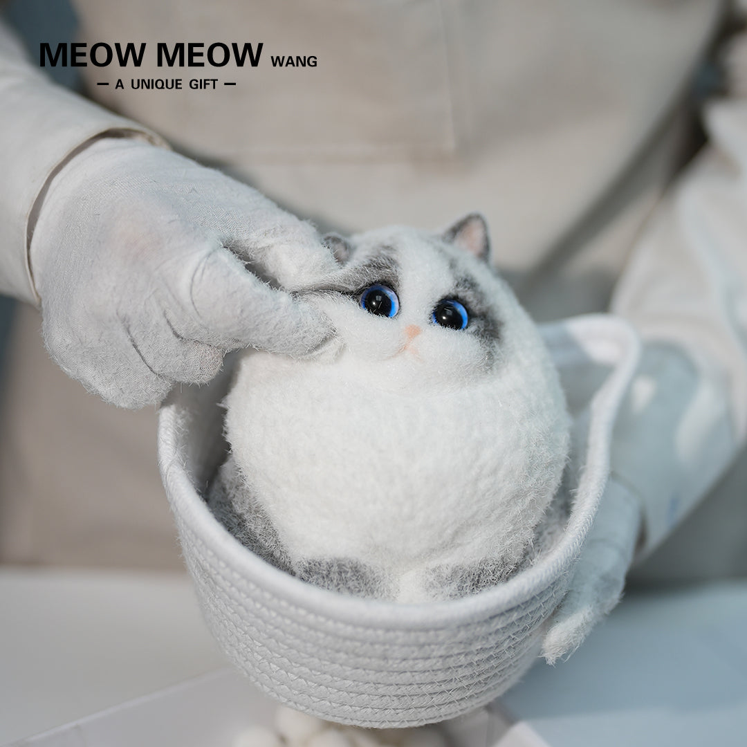 A18:Super Cute Light-Coloured Ragdoll Cat