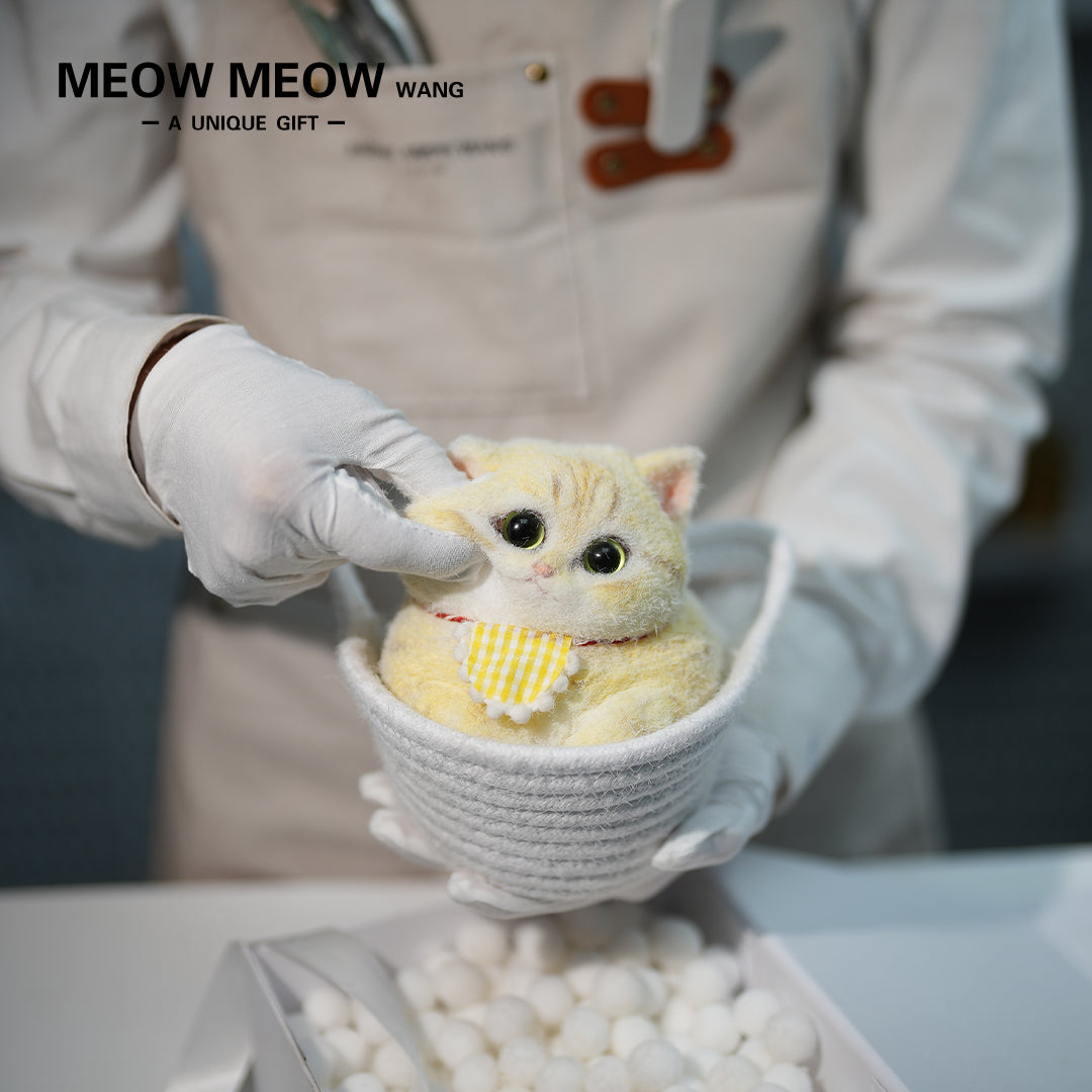C21:A chubby, Goose-Yellow Cat
