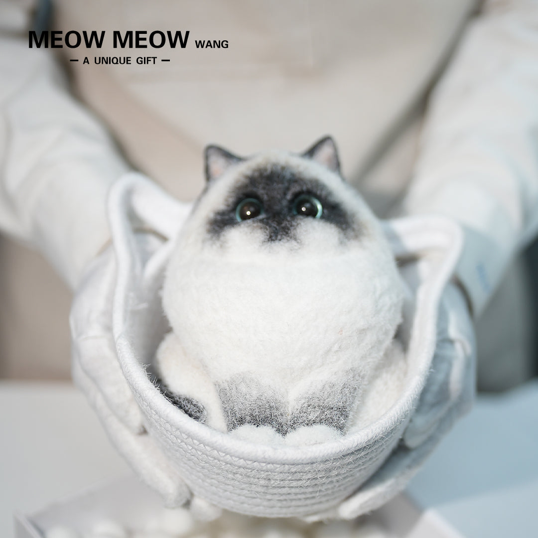 A21:Unique Long-Haired Siamese Cat
