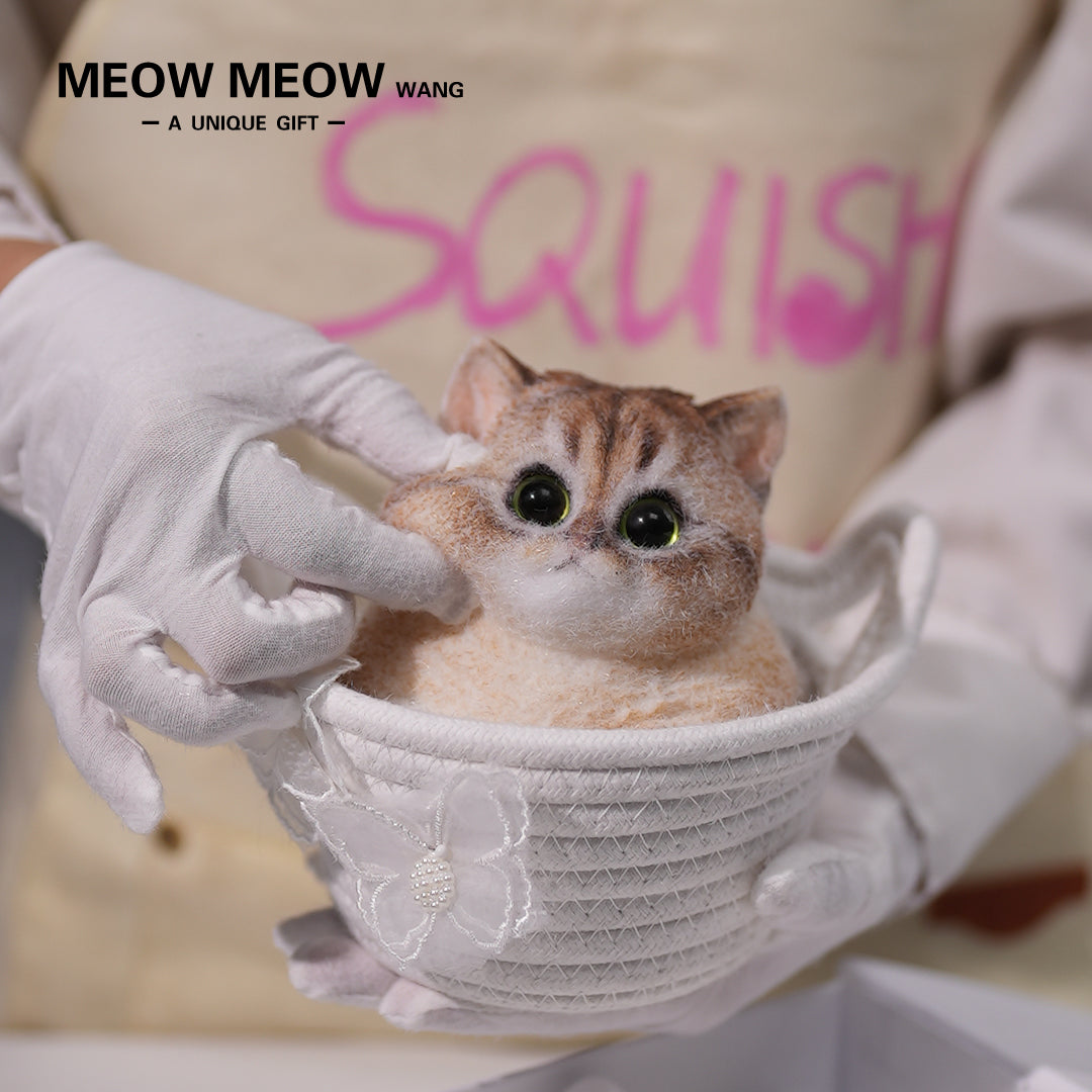 C02: Cute Chubby Squishy Kitty with Pink Ear