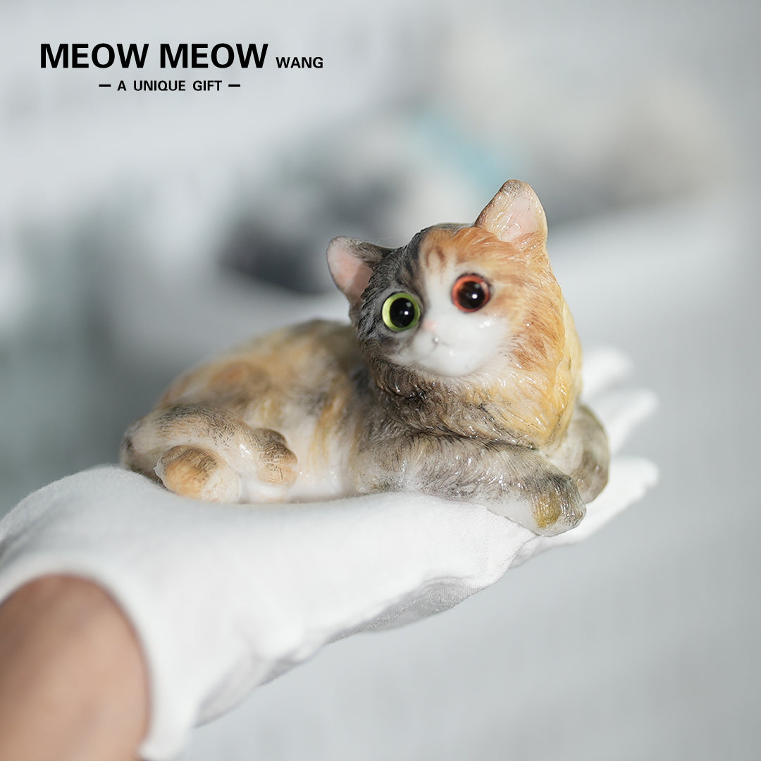 E04:Fluffy Heteromyptic Kitten