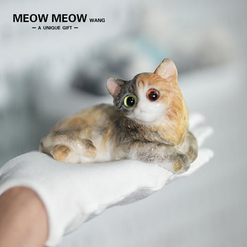 E04:Fluffy Heteromyptic Kitten