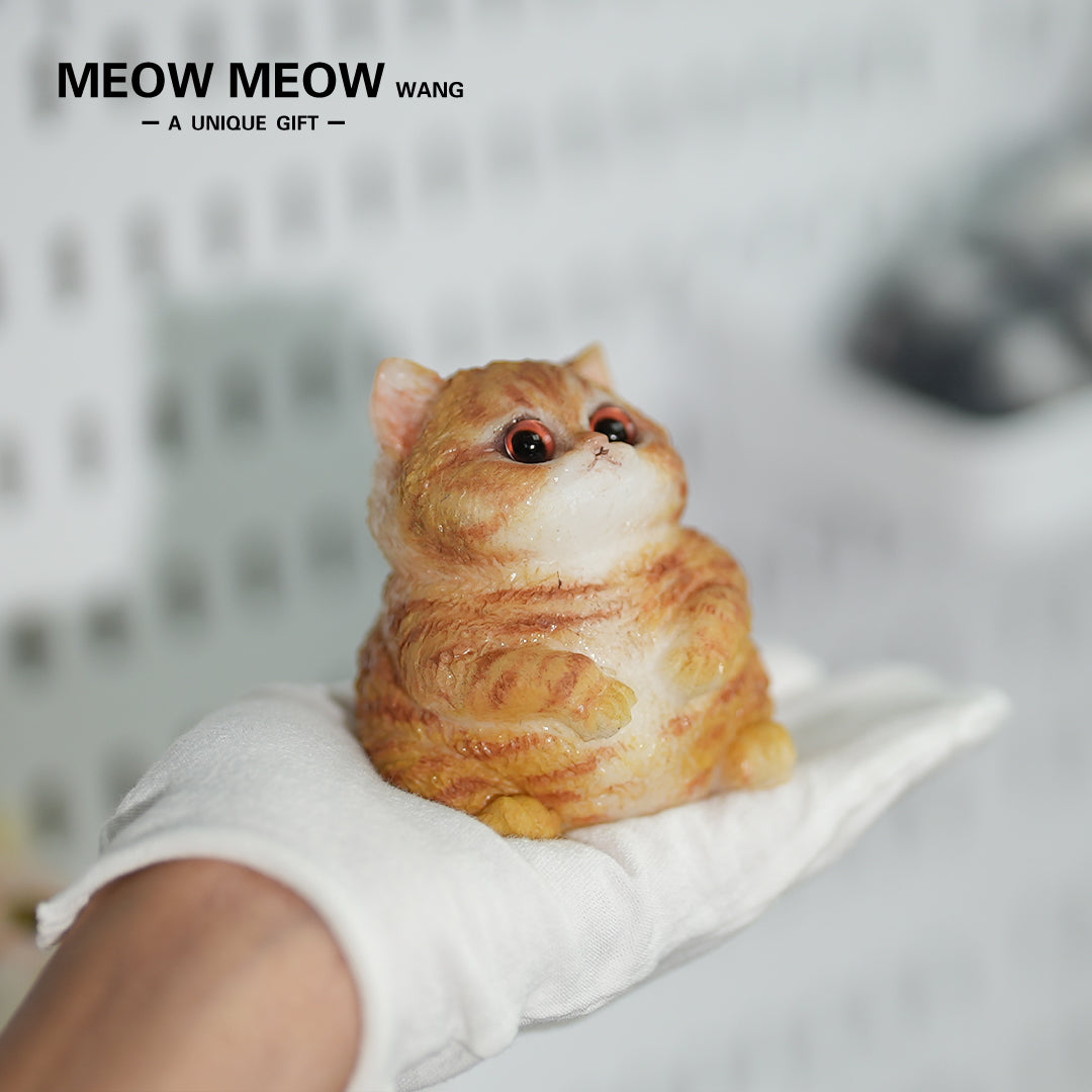E02:Super Cute Mini Chubby Cat
