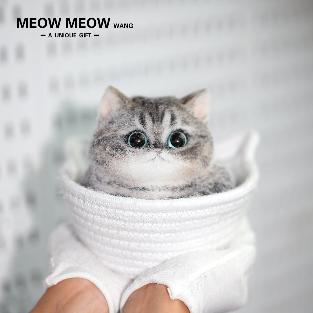 C18:Cute Chubby Black Brown Tabby Cat