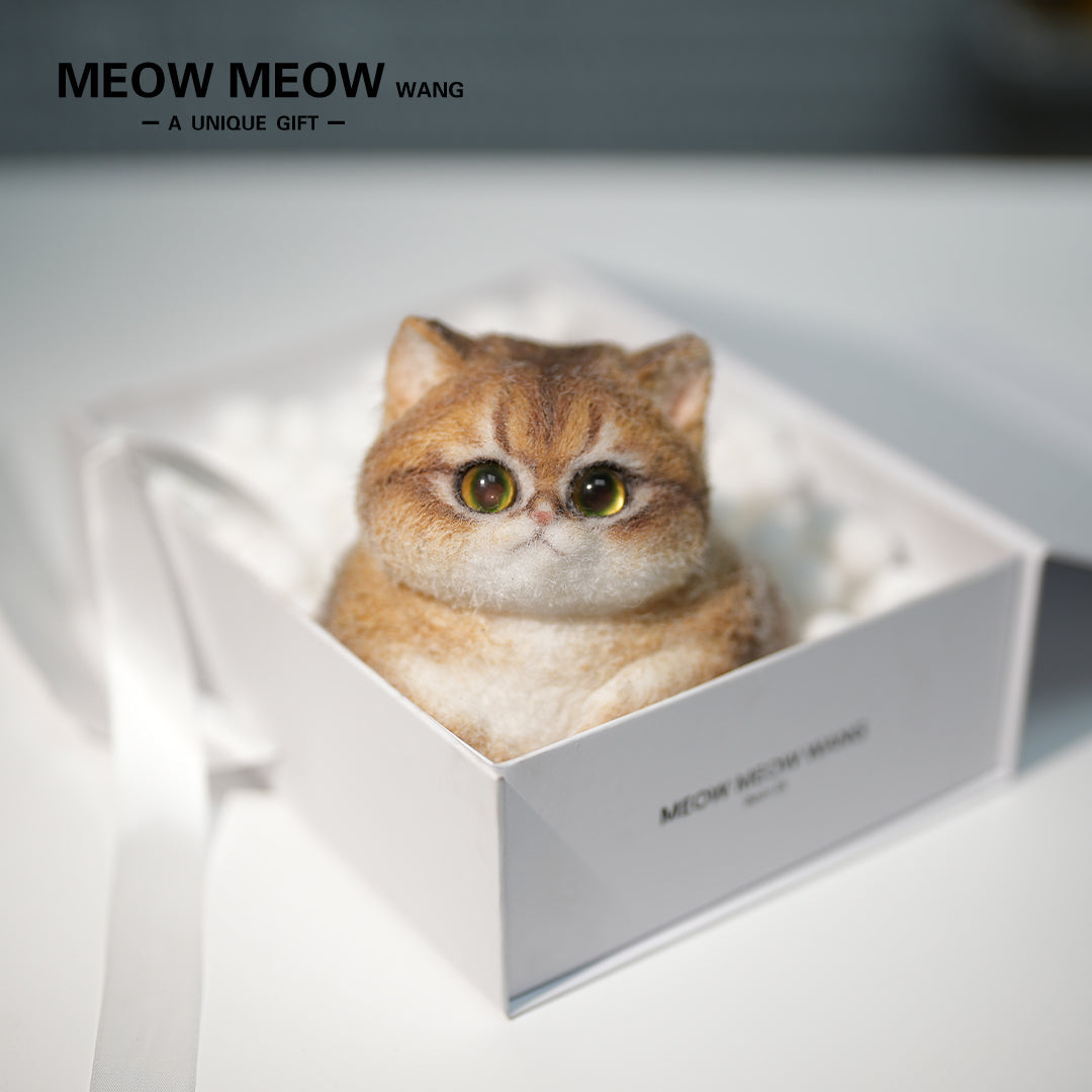 C29:A Unique Golden Shaded Tabby Cat