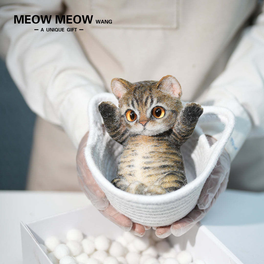 B21:A Soft Yellow-Brown Tabby Kitten