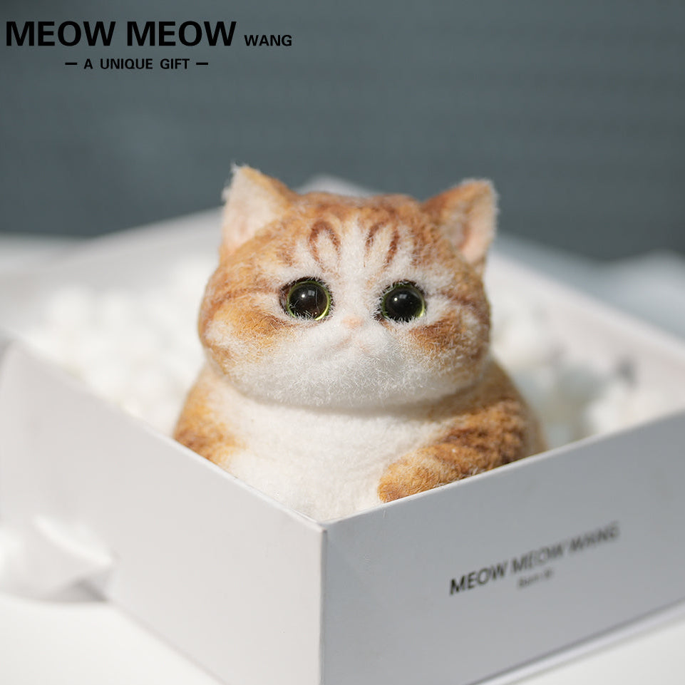 C38:A Chubby Ginger Cat With Green Eyes