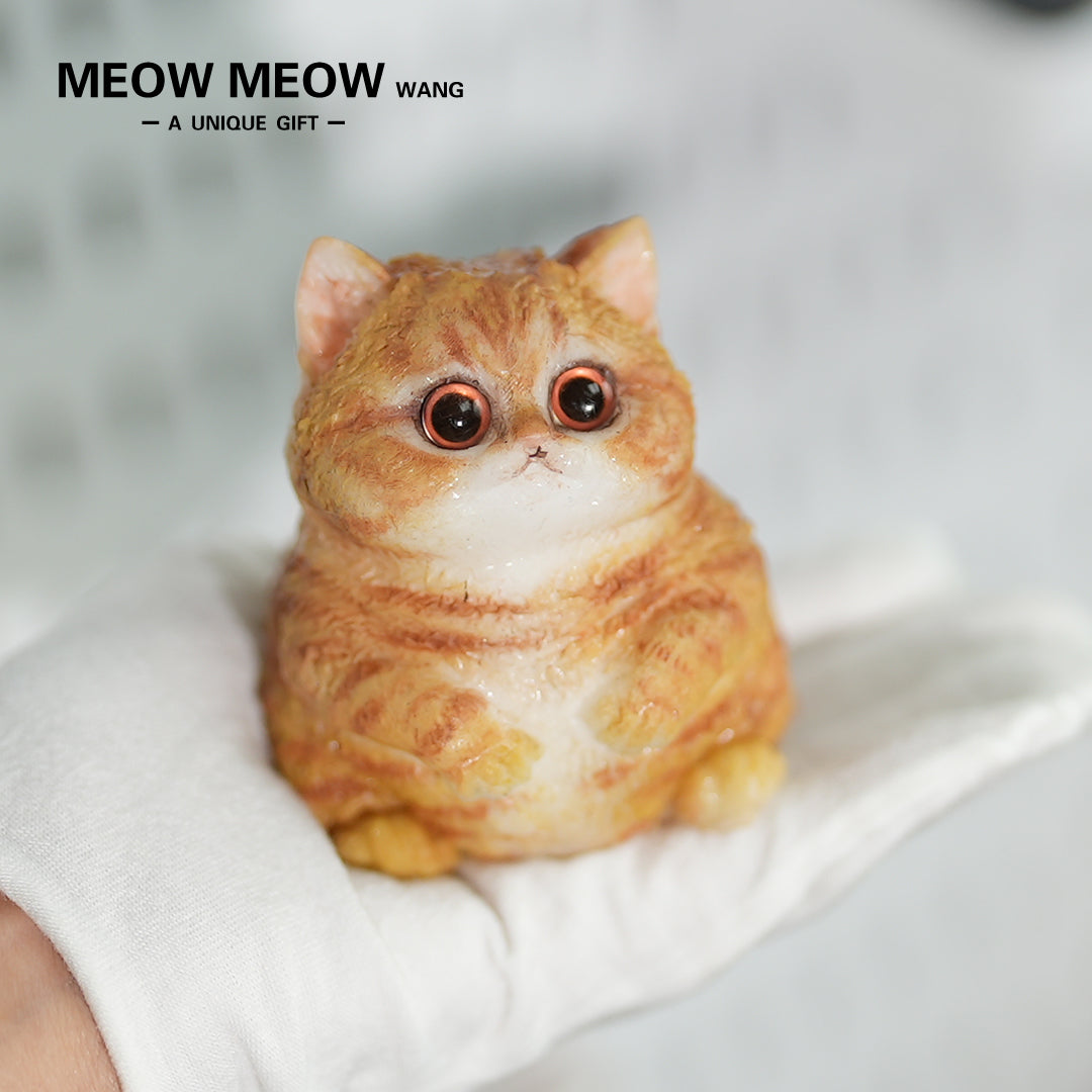 E02:Super Cute Mini Chubby Cat