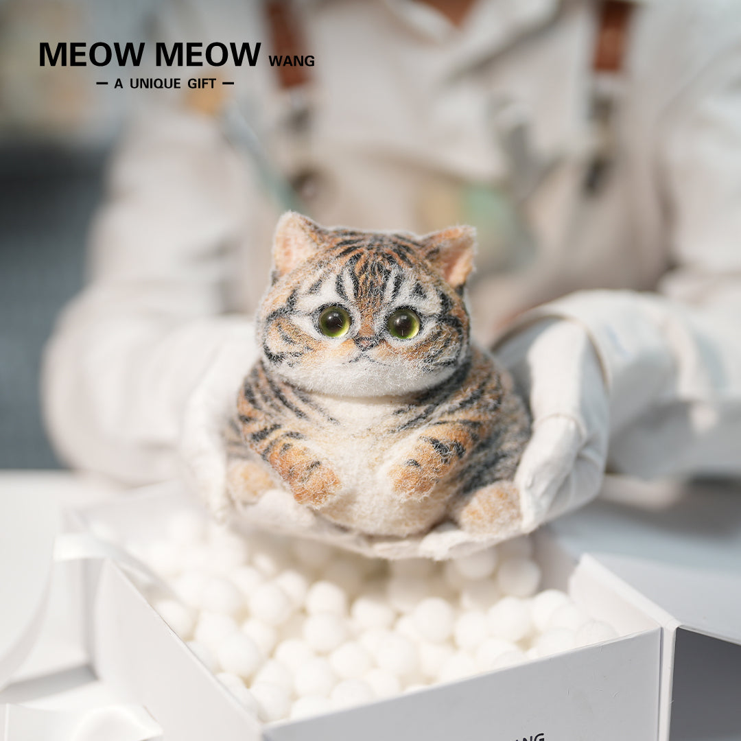 C26:Chubby Little Tiger Cat