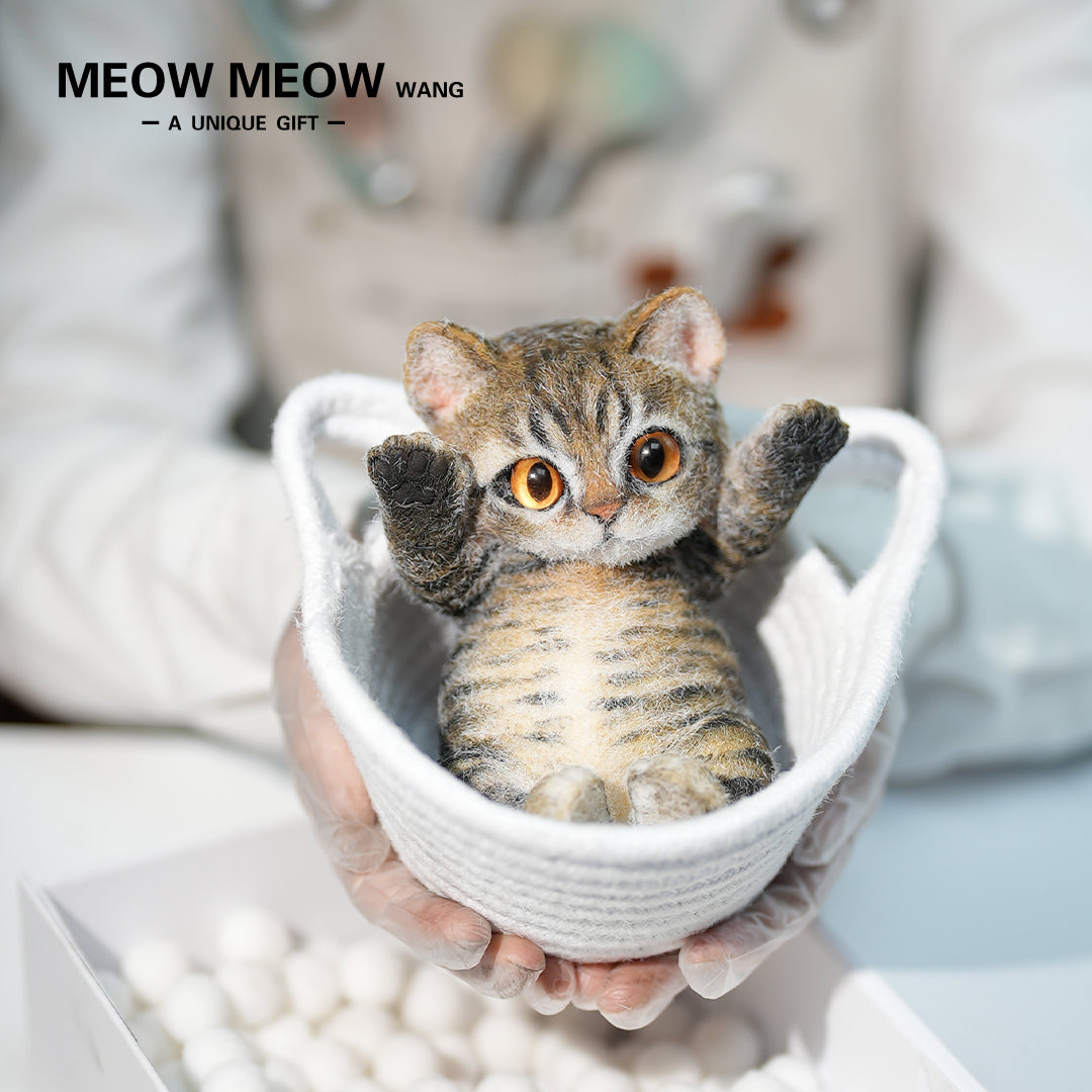 B21:A Soft Yellow-Brown Tabby Kitten