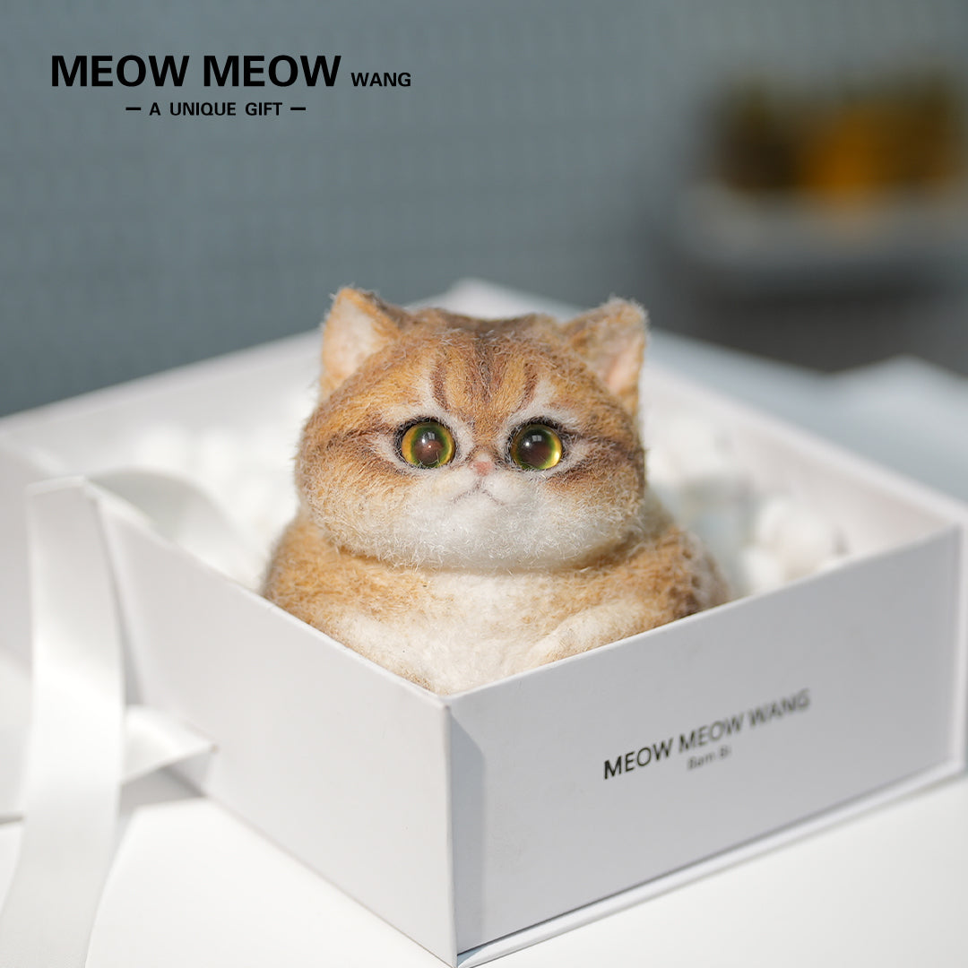 C29:A Unique Golden Shaded Tabby Cat