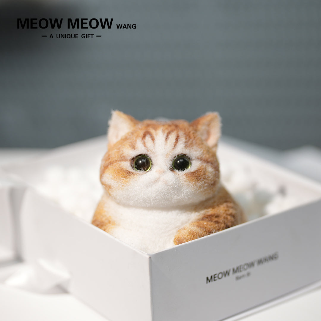 C38:A Chubby Ginger Cat With Green Eyes