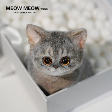 B05: Cute New Abby Squishy Cat