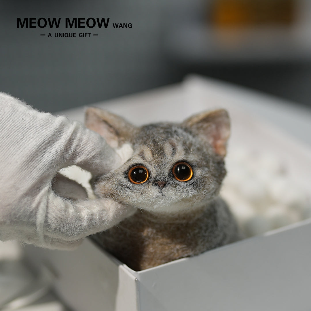 B05: Cute New Abby Squishy Cat
