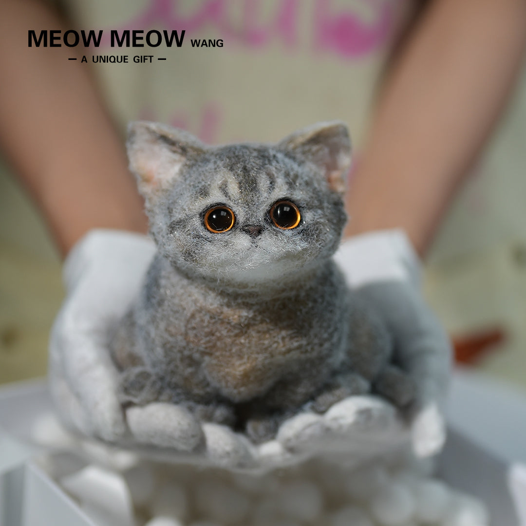 B05: Cute New Abby Squishy Cat