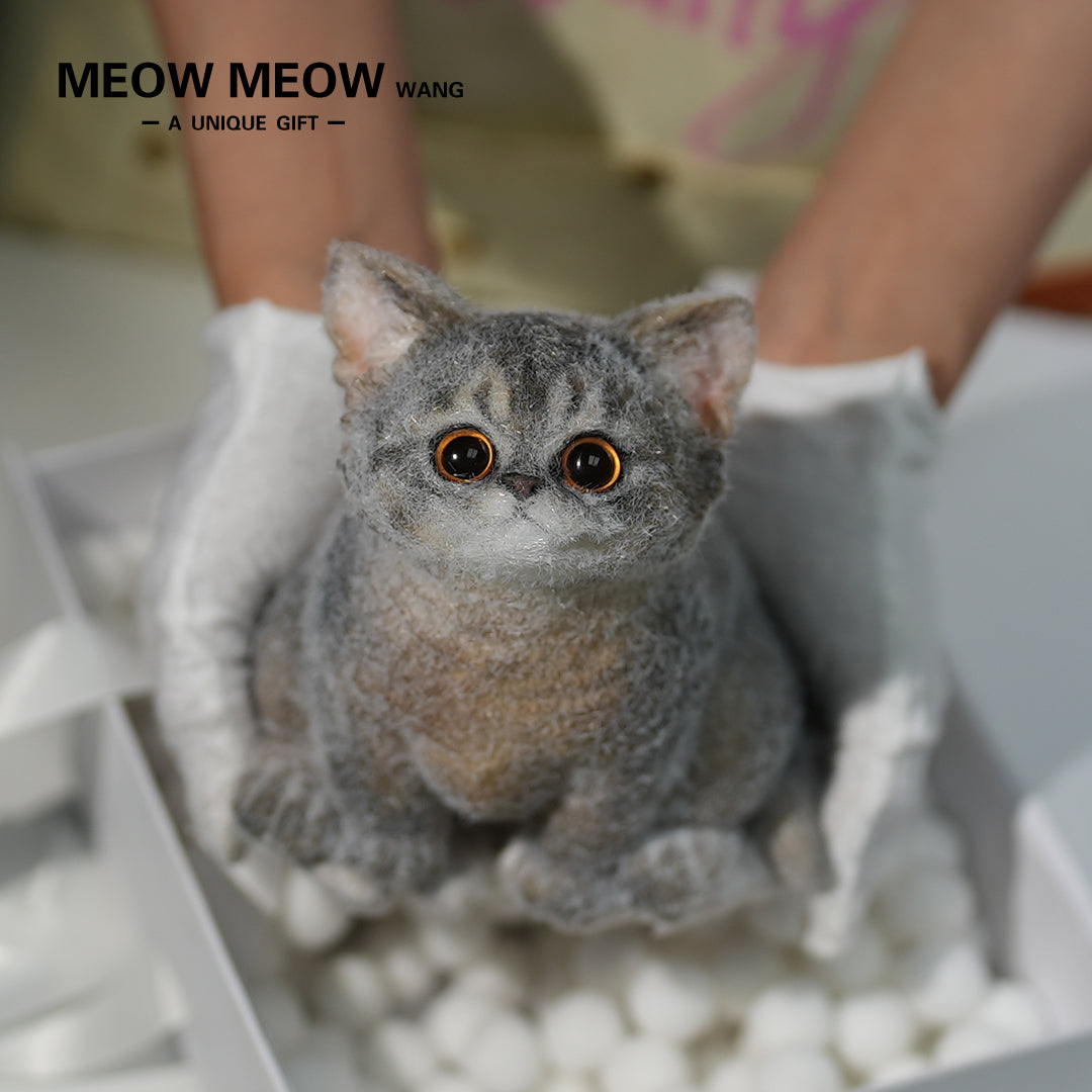 B05: Cute New Abby Squishy Cat