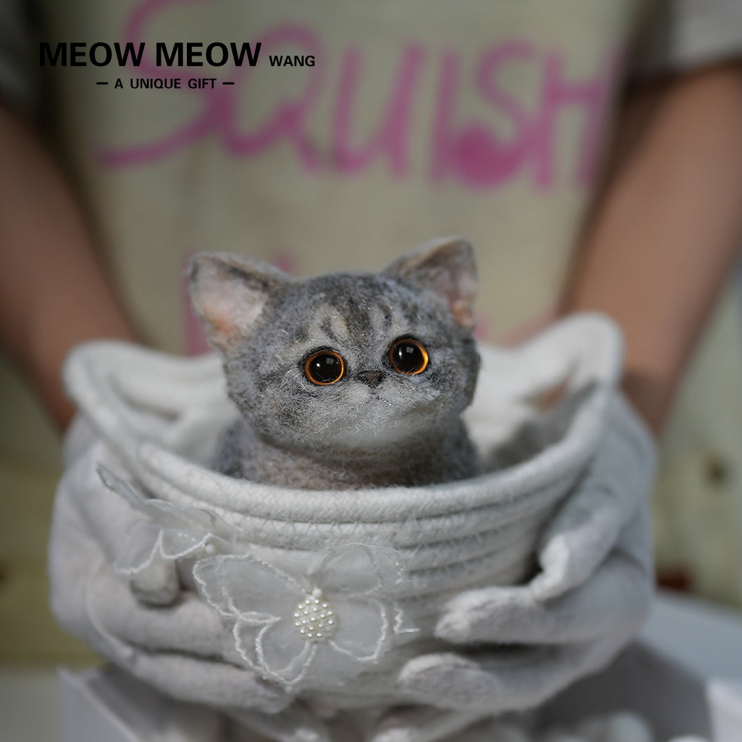 B05: Cute New Abby Squishy Cat
