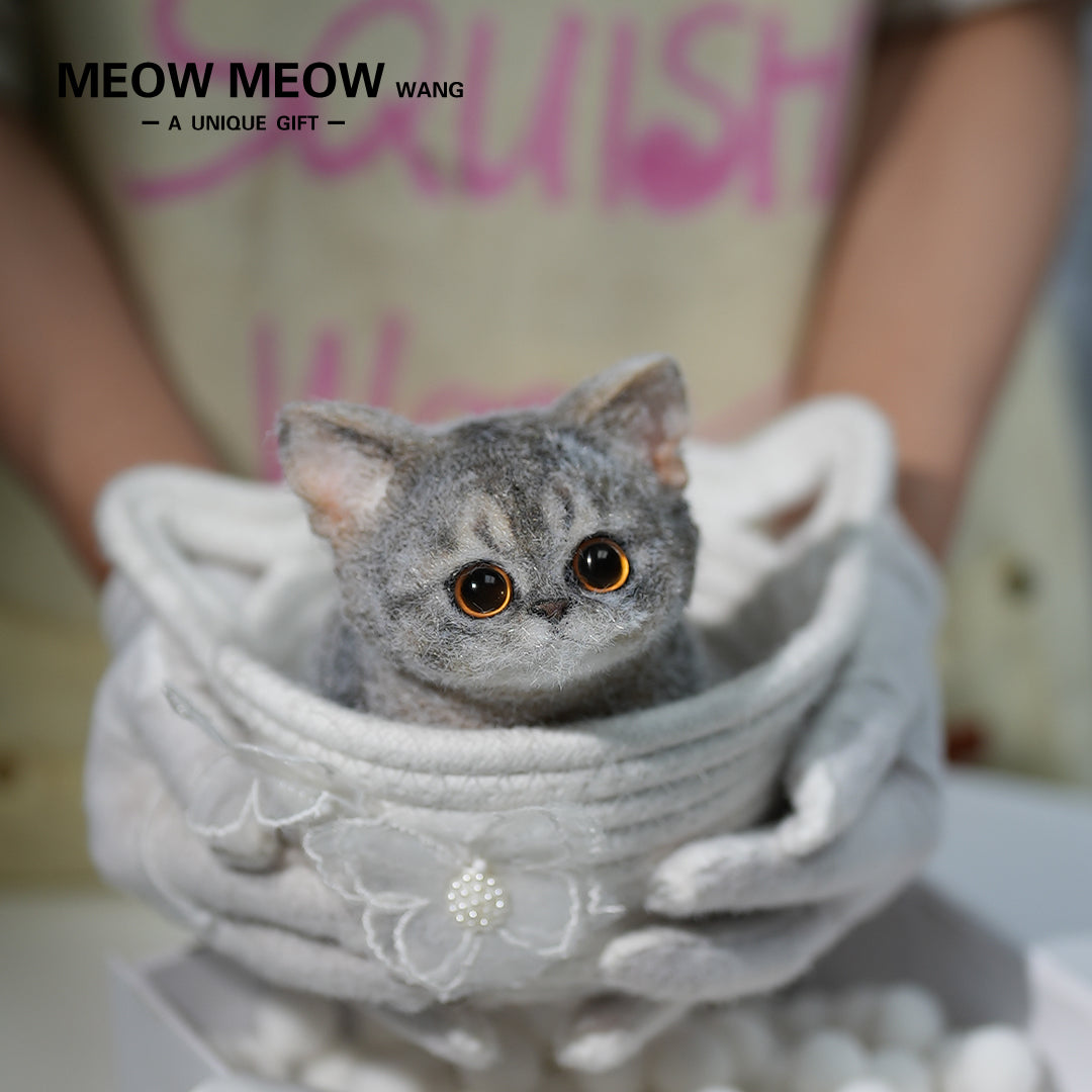 B05: Cute New Abby Squishy Cat
